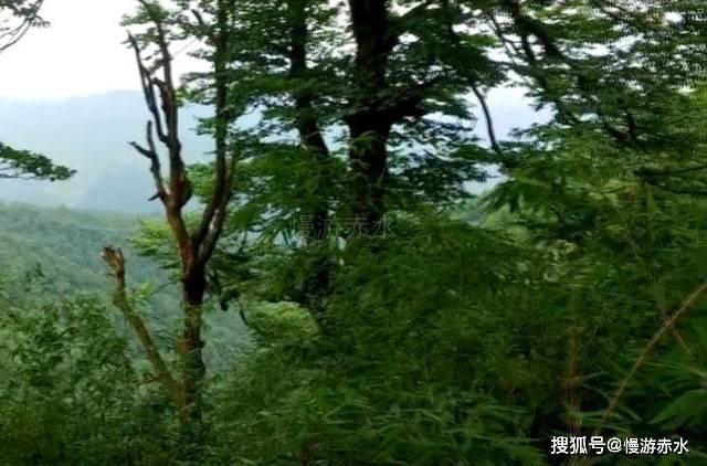横渠四句对青年的意义什么?-专业有问必答平台官网